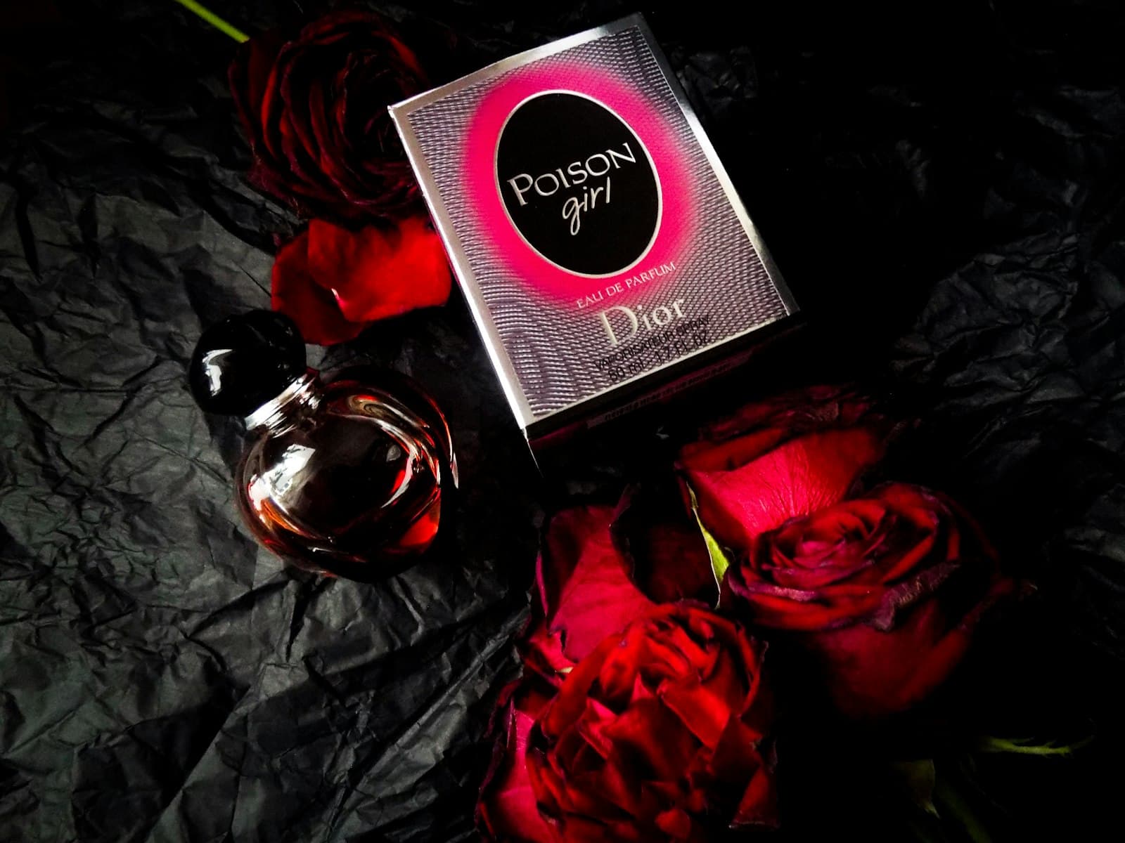 Rose of Shiraz